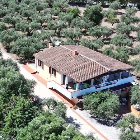 Rustico Degli Ulivi Lägenhet Orosei Exteriör bild