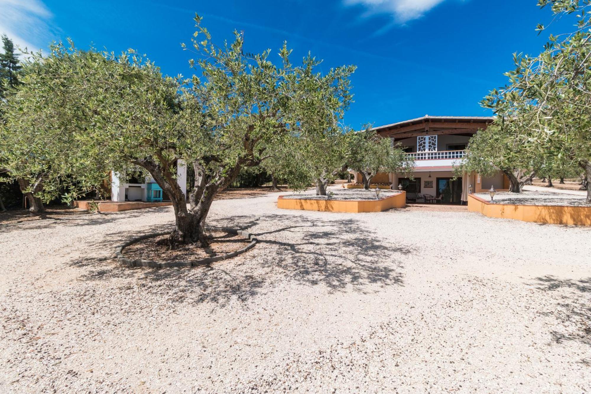 Rustico Degli Ulivi Lägenhet Orosei Exteriör bild